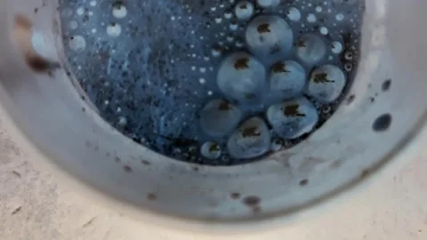 Avatar Drink Stock Footage 246848563