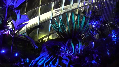 Avatar The Experience at Clouds Forest, Gardens by the bay, Singapore (4K) 動画素材 221746270