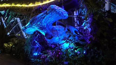 Avatar The Experience at Gardens by the bay, Cloud Forest, Singapore (4K) 動画素材 221746275