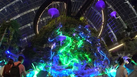 Avatar The Experience at Gardens by the bay, Cloud Forest, Singapore (4K) 動画素材 221746287