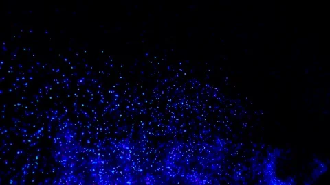 Avatar The Experience at Gardens by the bay, Cloud Forest, Singapore (4K) 動画素材 221746314