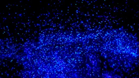 Avatar The Experience at Gardens by the bay, Cloud Forest, Singapore (4K) 動画素材 221746327