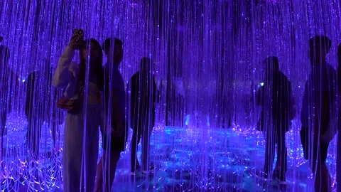 Avatar The Experience at Gardens by the bay, Cloud Forest, Singapore (4K) 動画素材 221746352