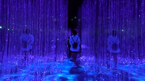 Avatar The Experience at Gardens by the bay, Cloud Forest, Singapore (4K) 動画素材 221746364