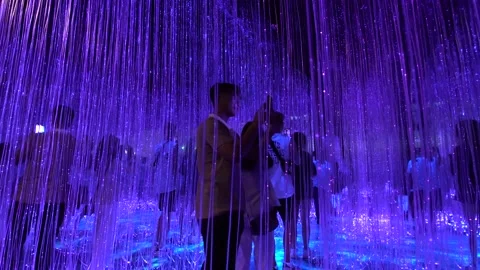 Avatar The Experience at Gardens by the bay, Cloud Forest, Singapore (4K) 動画素材 221746384