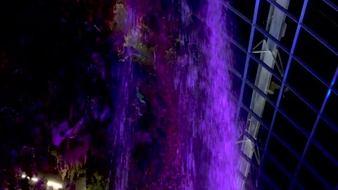 Avatar The Experience at Gardens by the bay, Cloud Forest, Singapore (4K) 動画素材 221746389