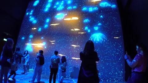 Avatar The Experience at Gardens by the bay, Cloud Forest, Singapore (4K) 動画素材 221746429