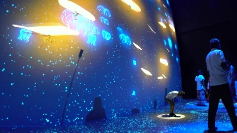 Avatar The Experience at Gardens by the bay, Cloud Forest, Singapore (4K) 動画素材 221746480