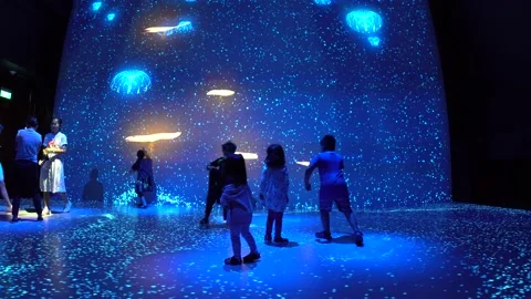 Avatar The Experience at Gardens by the bay, Cloud Forest, Singapore (4K) 動画素材 221746520