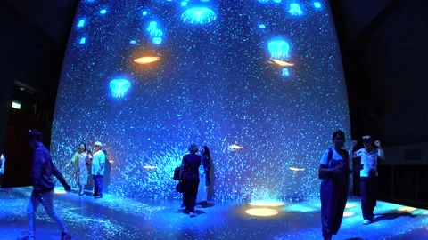 Avatar The Experience at Gardens by the bay, Cloud Forest, Singapore (4K) 動画素材 221746539