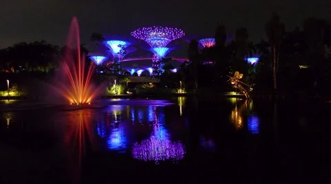 Avatar Style Light Display of Supertrees at Night, Gardens By The Bay Singapore Stock Footage 51028190