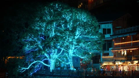 “Avatar” tree Video stock 204029021