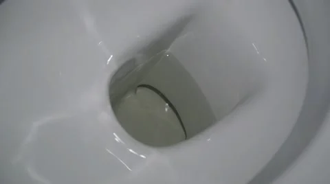 Avatory Pan Stock Footage 46503652