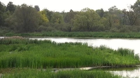 AVc002680Beautiful landscape with a small river Video stock 106406823
