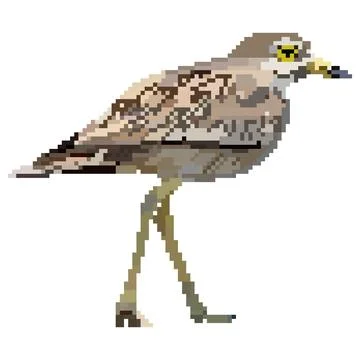 Avdotka Illustrazione stock