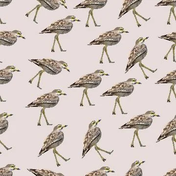 Avdotka pattern Stock Illustration