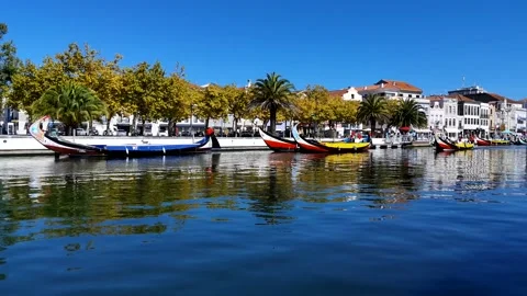Aveiro Stock Footage 165607929