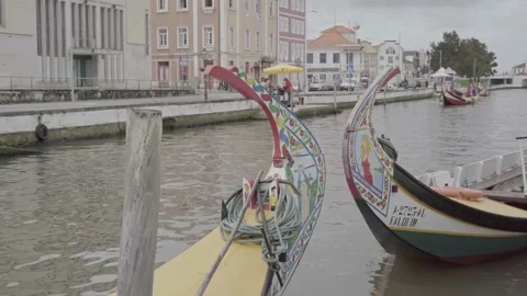 Aveiro - Moliceiro Details Stock Footage 237396864