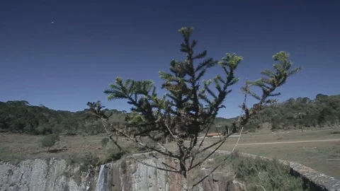 Avencal cascade Stock Footage 94319608