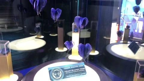 AVENGERS STATION Stock Footage 135657907