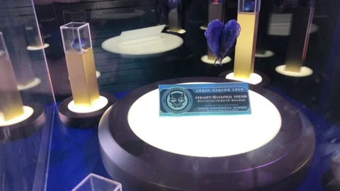 AVENGERS STATION Stock Footage 135658075