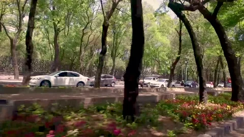 Avenida Reforma Chapultepec 2 trafico Mexico City Stock Footage 137835248