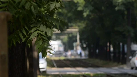 Avenue of Milan with tramway crossing Stock Footage 111329457