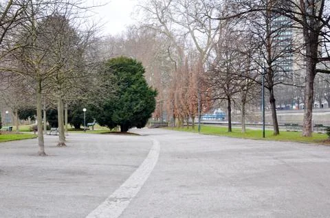Avenue in the park Stock Photos