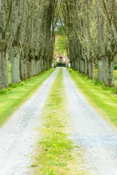 Avenue Stock Photos