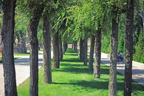 Avenue Stock Photos