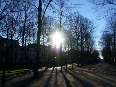 Avenue in the sunlight Stock Photos