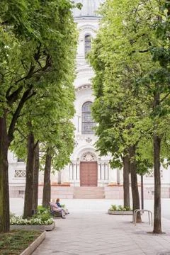 Avenue surrounded by trees in summer Stock Photos