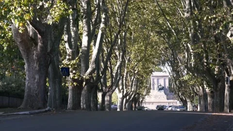 Avenue of Trees Stock Footage 162403791
