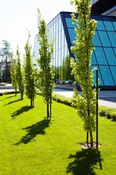 Avenue of trees in the park Stock Photos