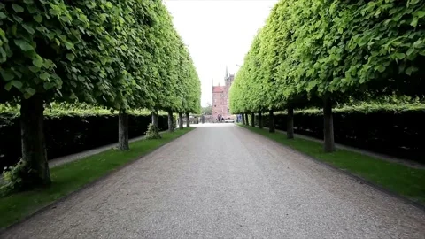 Avenue of Trees, Tree Lined Footpath through Park in Spring Video stock 152396024