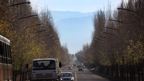 Avenue uphill Stock Footage 116988677