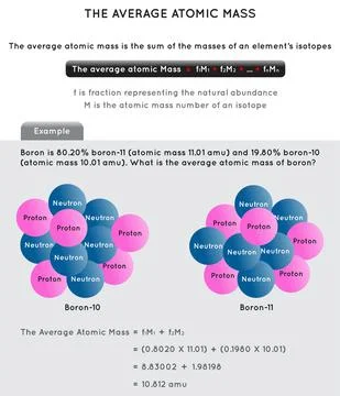 The Average Atomic Mass Infographic Diagram chemistry science education vector Stock Illustration