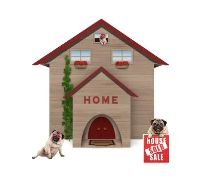 Average middle class pug dog familiy, sitting in garden with house sold sign Stock Photos