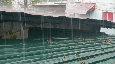 Average Rain Falling on Green Roof with Neighborhood Background During Monsoon Stock Footage 346304289