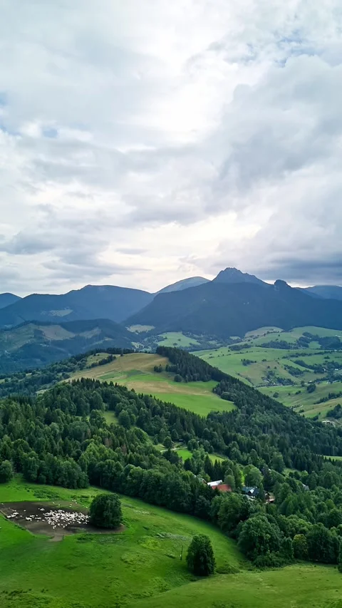 AVertical aerial HyperlapseOver Rolling Green Hills Forests Sheep Enclosure Stock-Footage 317762144