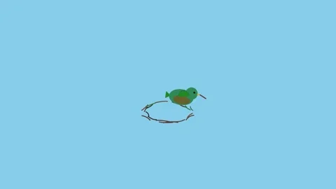 Avian Architect Constructing Nest with Twigs and Eggs on Sky Blue Background Stock Footage 346612511
