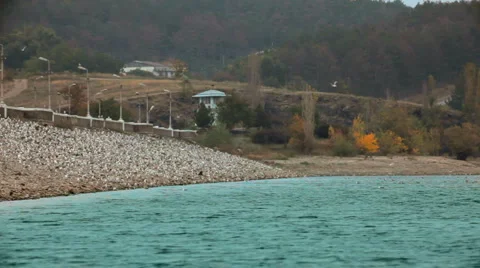 Avian beach Stock Footage 1459904