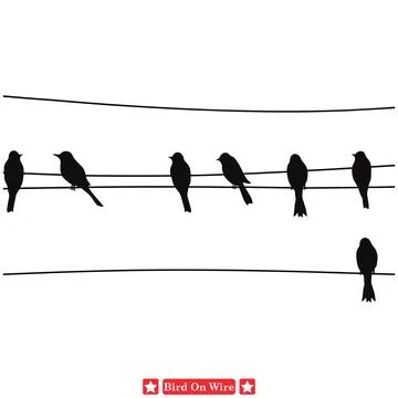 Avian Ensemble Elegantly Crafted Birds on Wire Silhouette Set Stock Illustration
