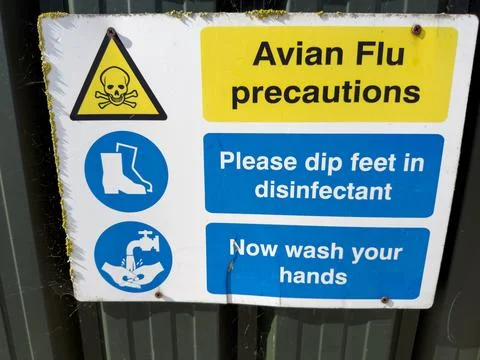 Avian flu biosecurity precautions warning 4K Stock Photos