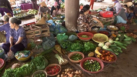 Avian Flu 動画素材 117131284