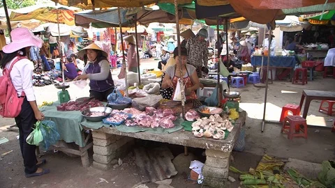 Avian Flu 動画素材 117131285