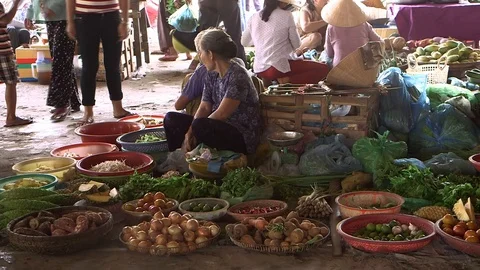 Avian Flu Vidéo 117131295