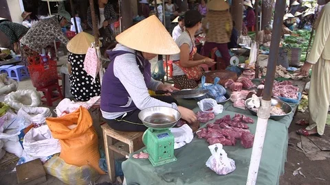 Avian Flu 動画素材 117131345