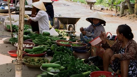 Avian Flu Vidéo 117131373