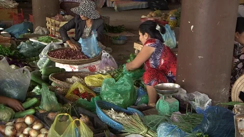 Avian Flu 動画素材 117131406